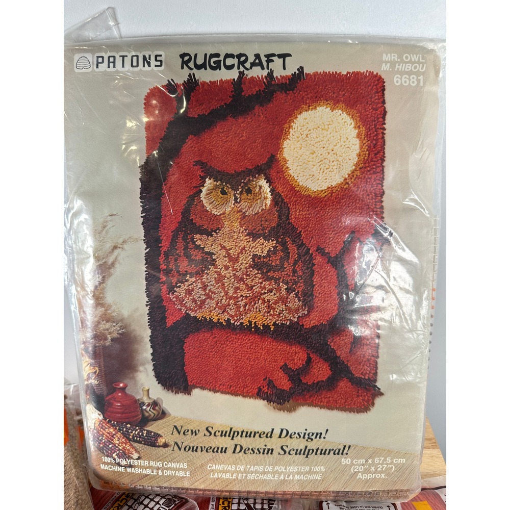 Vintage Owl Craft Latch Hook DIY Kit Mid Century Funky Rug Fall Wall Hanging - Picture 2 of 8